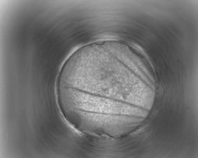 X0000066021243200603312041