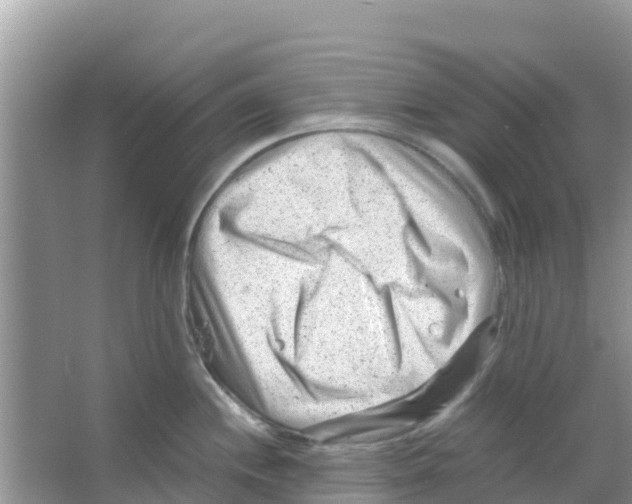 X0000066021244200603312041