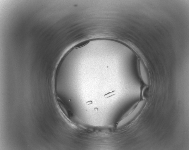 X0000066021246200603312041