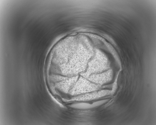 X0000066021247200603312041