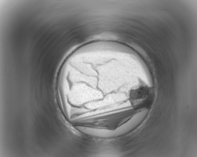 X0000066021248200603312041