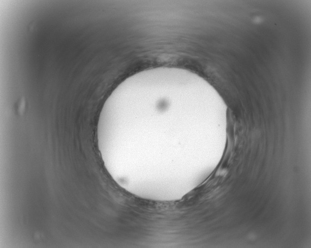 X0000066021249200603312040