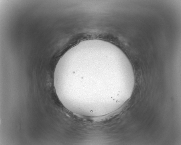 X0000066021253200603312040