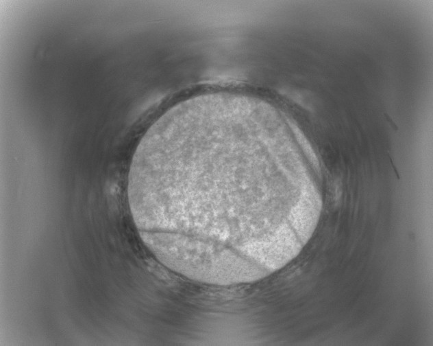 X0000066021254200603312040