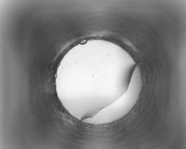 X0000066021256200603312040