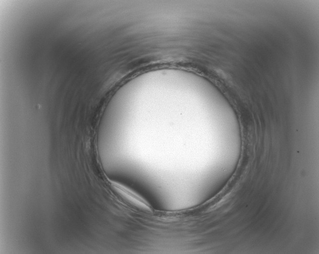 X0000066021257200603312040