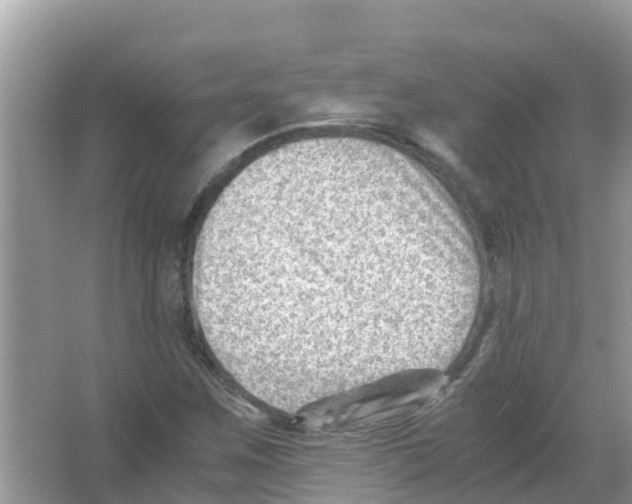 X0000066021259200603312040