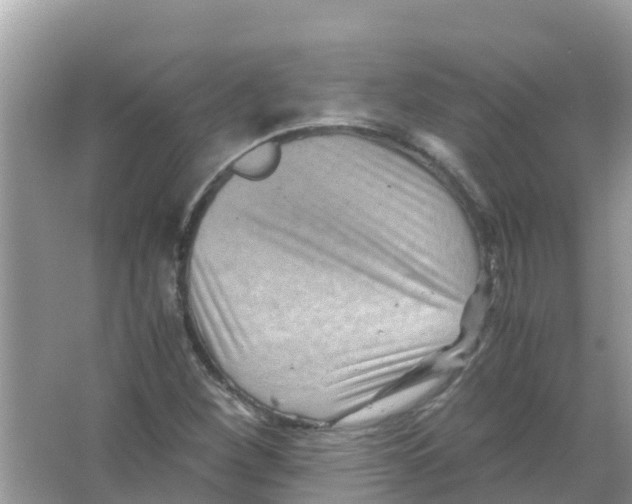 X0000066021260200603312040