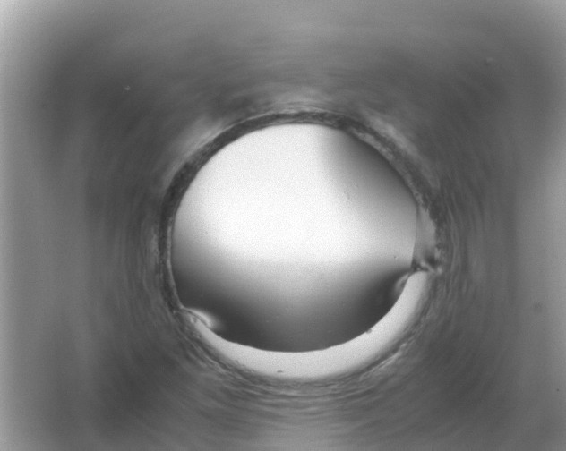 X0000066021261200603312040