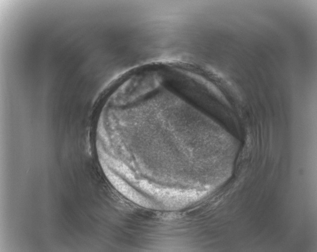 X0000066021262200603312040