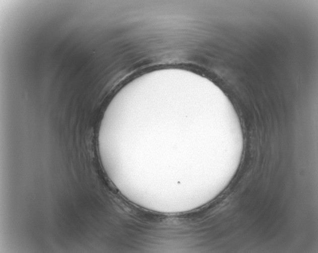 X0000066021265200603312040