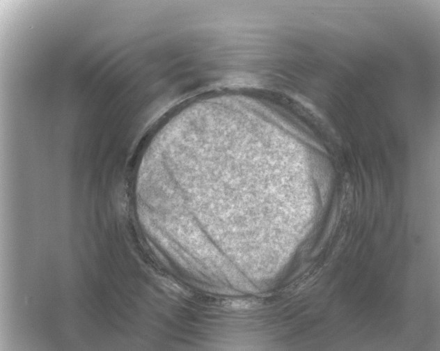 X0000066021266200603312040