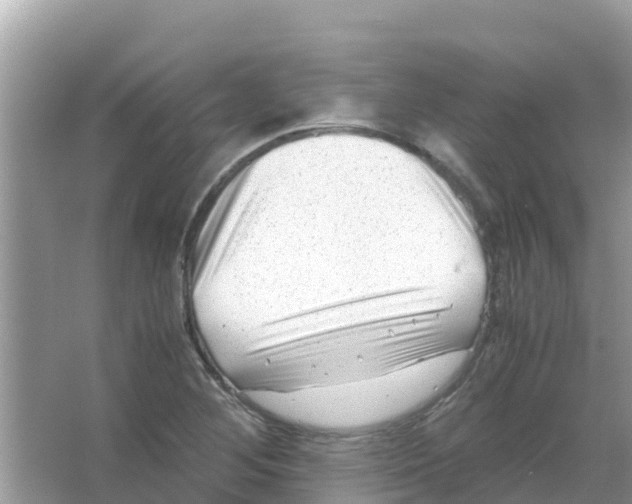 X0000066021268200603312039