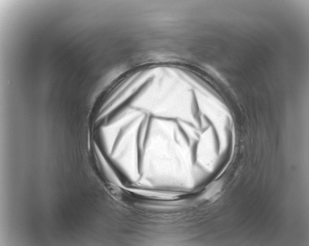 X0000066021269200603312039