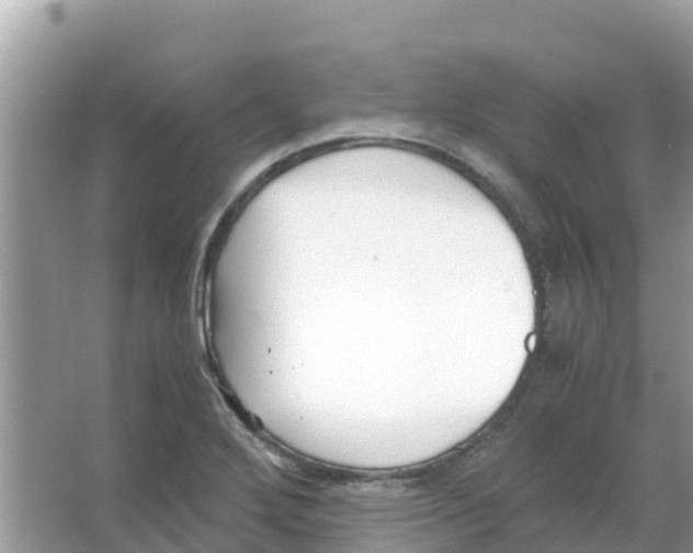 X0000066021272200603312039