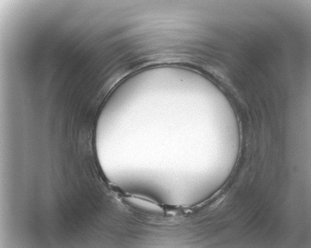 X0000066021273200603312039