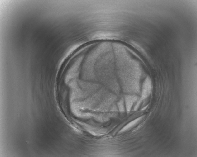 X0000066021277200603312039