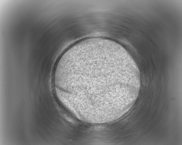 X0000066021278200603312039