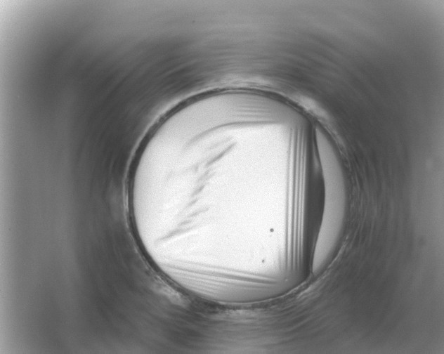 X0000066021280200603312039