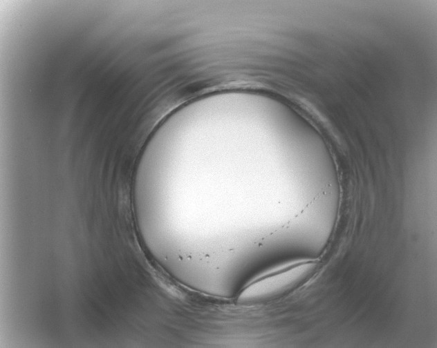 X0000066021281200603312039