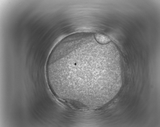 X0000066021283200603312039