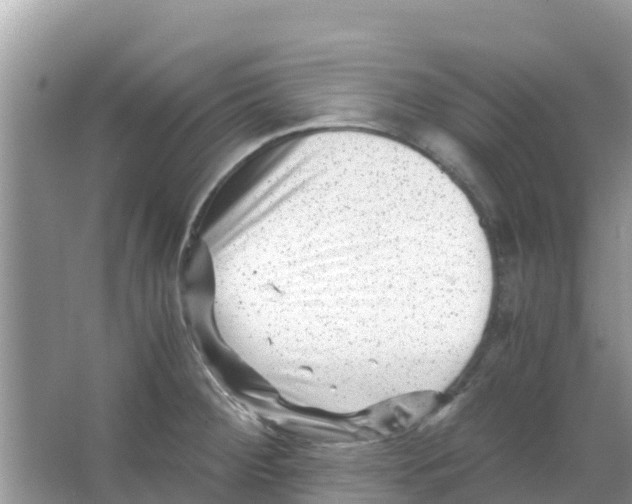 X0000066021284200603312039