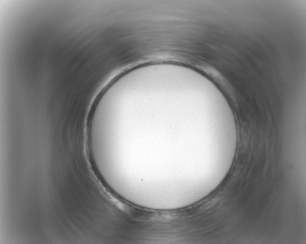 X0000066021286200603312039