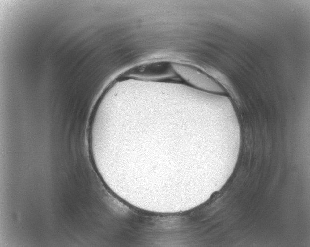 X0000066021288200603312039