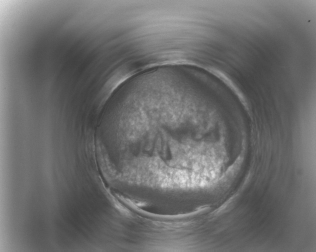 X0000066021289200603312039