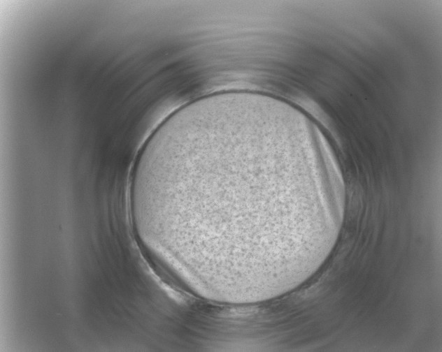 X0000066021290200603312039