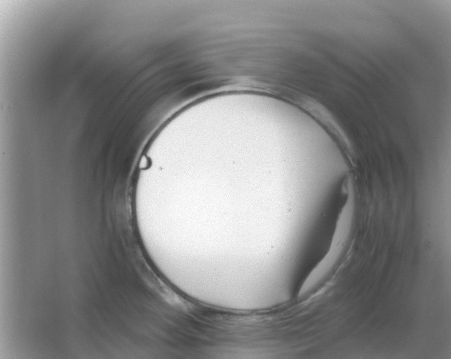 X0000066021292200603312039