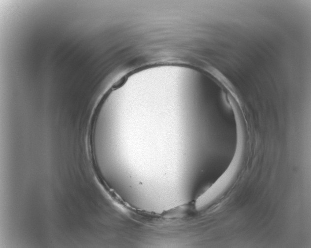 X0000066021293200603312039