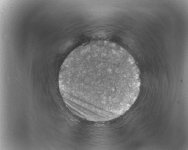 X0000066021297200603312038