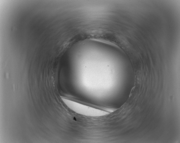 X0000066021298200603312038