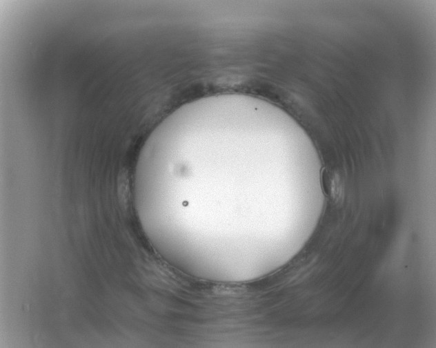 X0000066021299200603312038