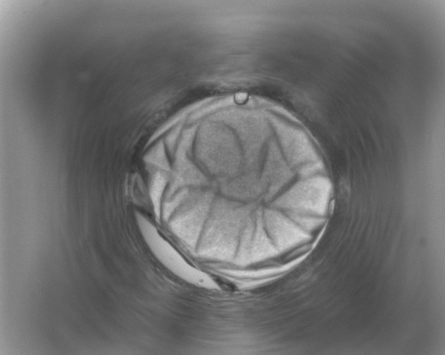 X0000066021300200603312038