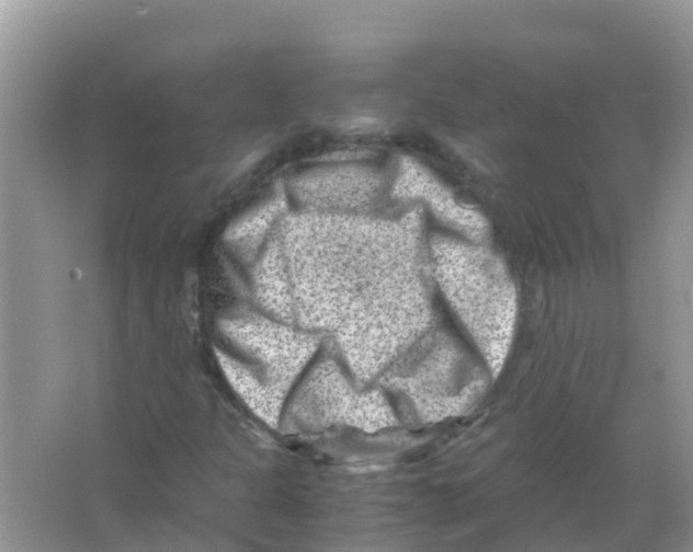 X0000066021301200603312038