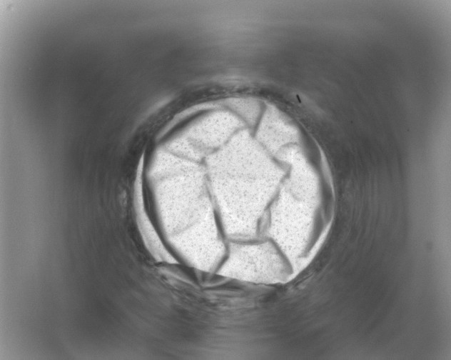 X0000066021302200603312038