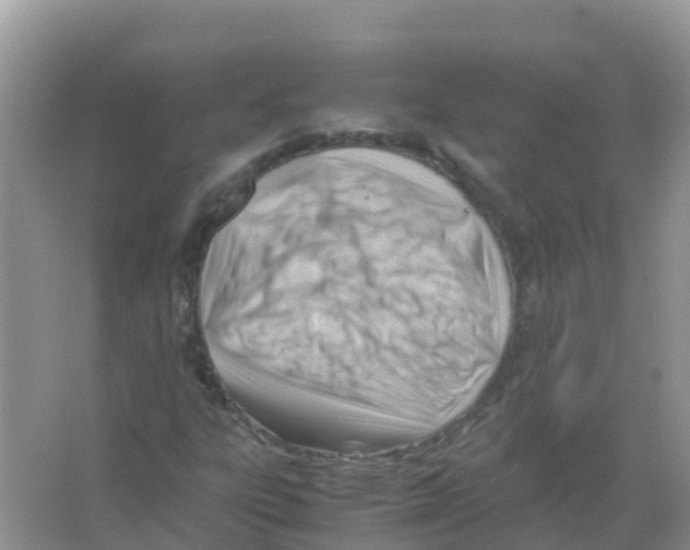 X0000066021303200603312038