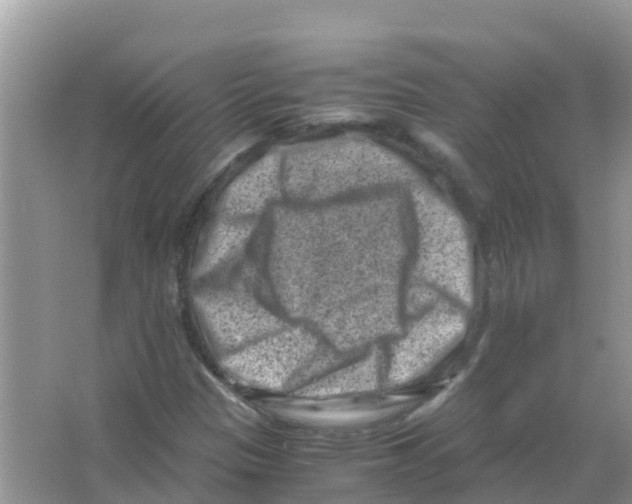 X0000066021305200603312038