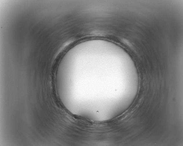 X0000066021307200603312038