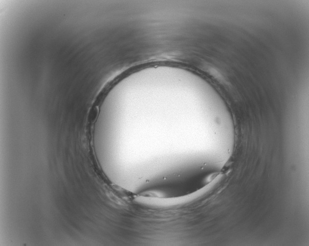 X0000066021308200603312038