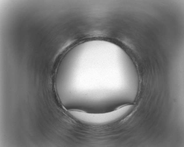 X0000066021309200603312038