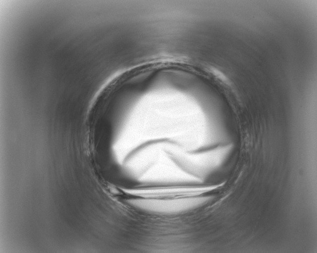 X0000066021310200603312038