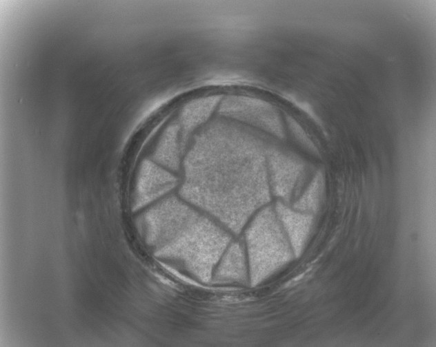 X0000066021311200603312038