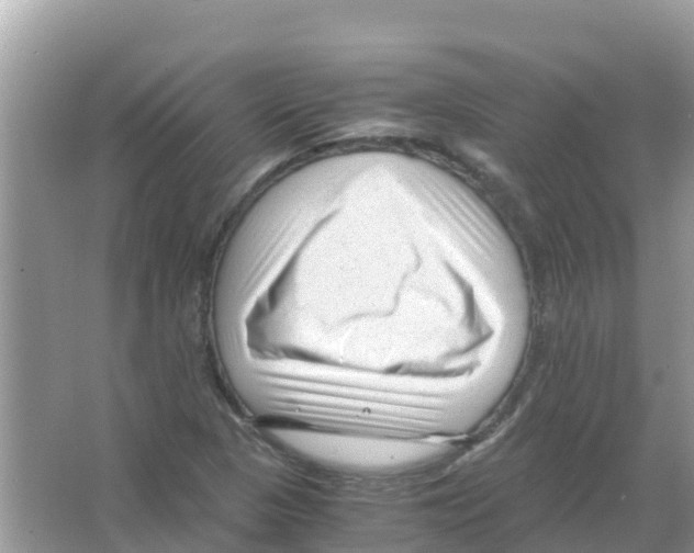 X0000066021313200603312038