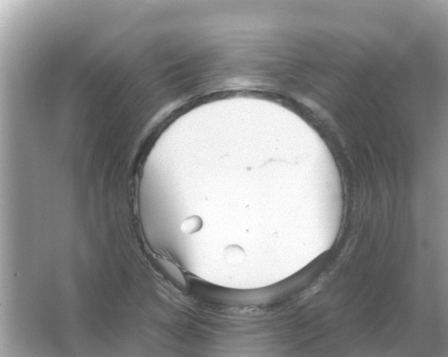 X0000066021314200603312038