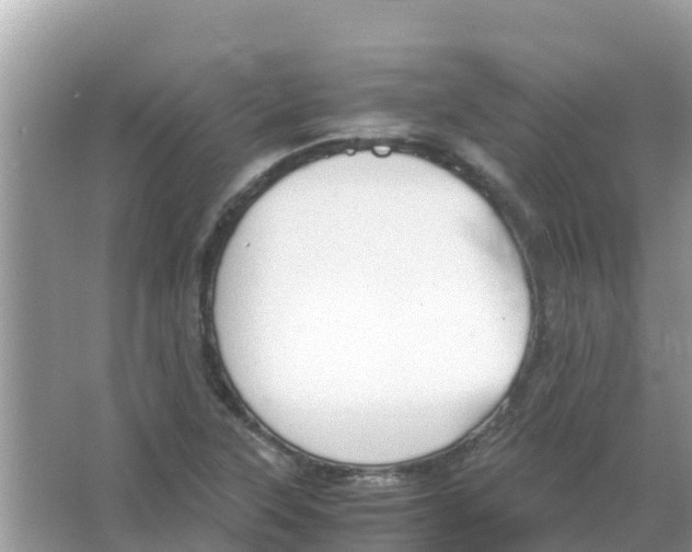 X0000066021315200603312039