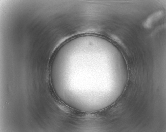 X0000066021316200603312039