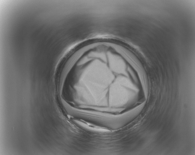 X0000066021319200603312039